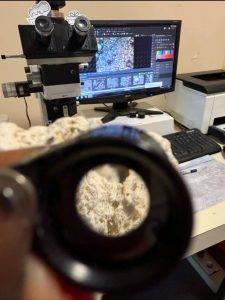  آزمایش پتروگرافی بتن — تشخیص ریزساختار، علت‌یابی خرابی و ارزیابی دوام